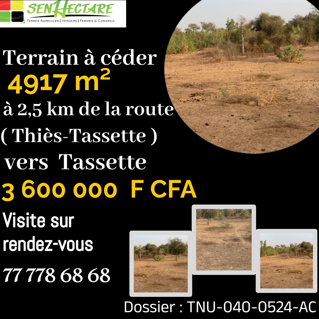 senhectare's tweet photo. Vous #rêvez d'avoir un #espace à #réaliser vos #rêves, saisissez cette #belle #opportunité!
Plus de #description: 
Vers tassette: https://t.co/dCmav3ddt8
Vers Thieppe: https://t.co/5MrJtM2tOK
Vers Notto Diobass: https://t.co/HmTAqbHFje

#production #investissement  #businesses #agriculture  #terrain #cashflow
#agrobusiness #immobilier #rentabilité