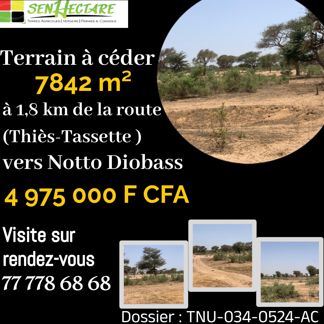 senhectare's tweet photo. Vous #rêvez d'avoir un #espace à #réaliser vos #rêves, saisissez cette #belle #opportunité!
Plus de #description: 
Vers tassette: https://t.co/dCmav3ddt8
Vers Thieppe: https://t.co/5MrJtM2tOK
Vers Notto Diobass: https://t.co/HmTAqbHFje

#production #investissement  #businesses #agriculture  #terrain #cashflow
#agrobusiness #immobilier #rentabilité