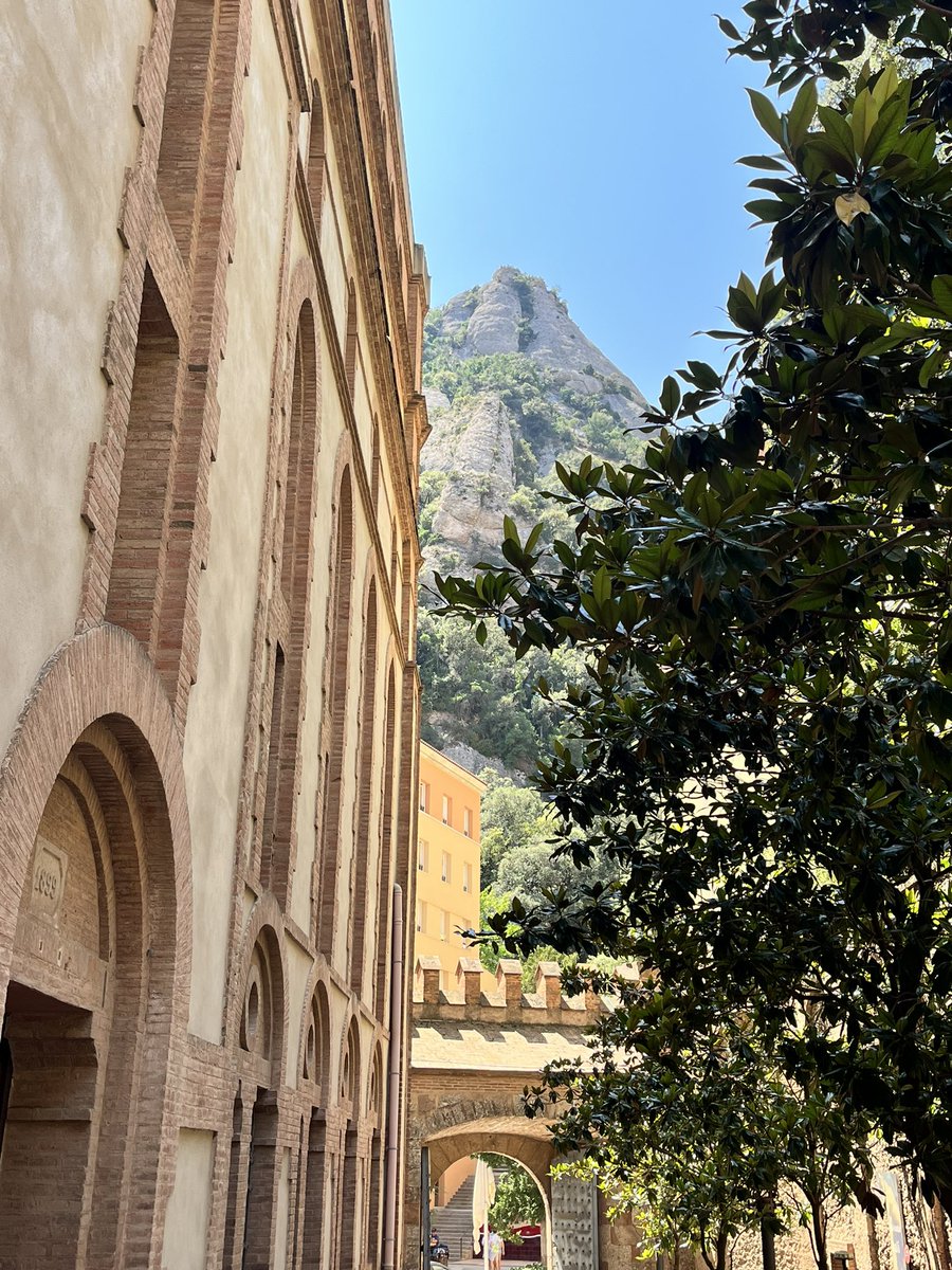 blaackwhitee89's tweet photo. Montserrat ❤️💜 https://t.co/BxMOddE1AF