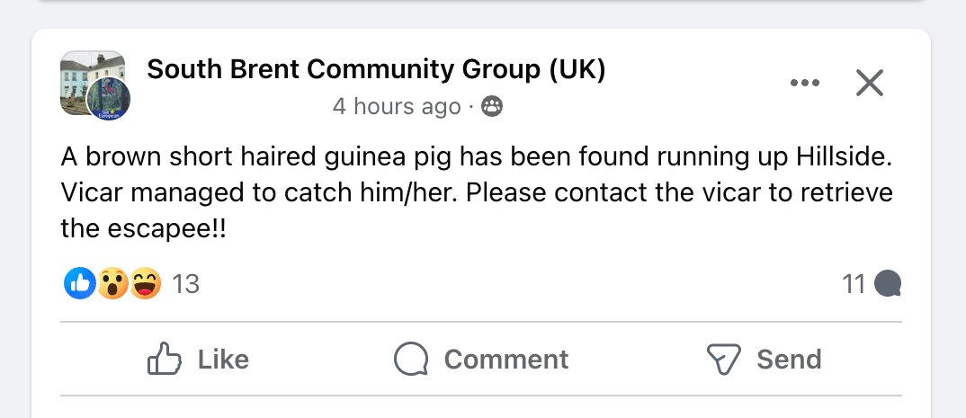 Absolute scenes in nearby South Brent