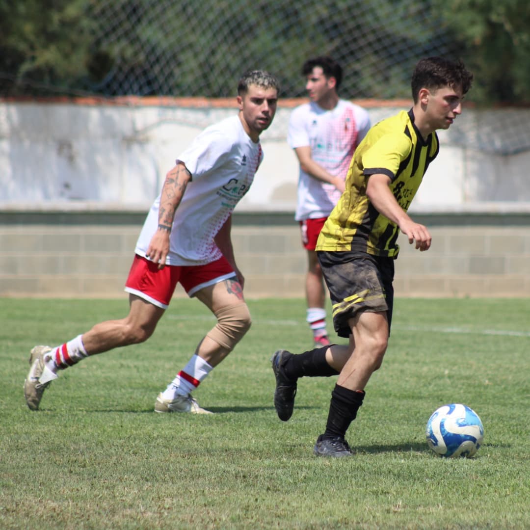 Aluvion de Cascante tweet media