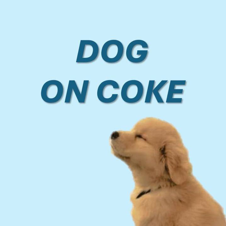 Yungeskid's tweet photo. @ElonMuskPDA $Dog will do $790000%

Ca 3HxeA9KHReAaTJvHfhs1nziWeRi834rRvk3WVikJpump https://t.co/JkH67UzPR8