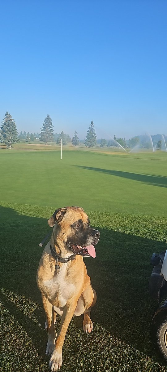 Myles Johb tweet media