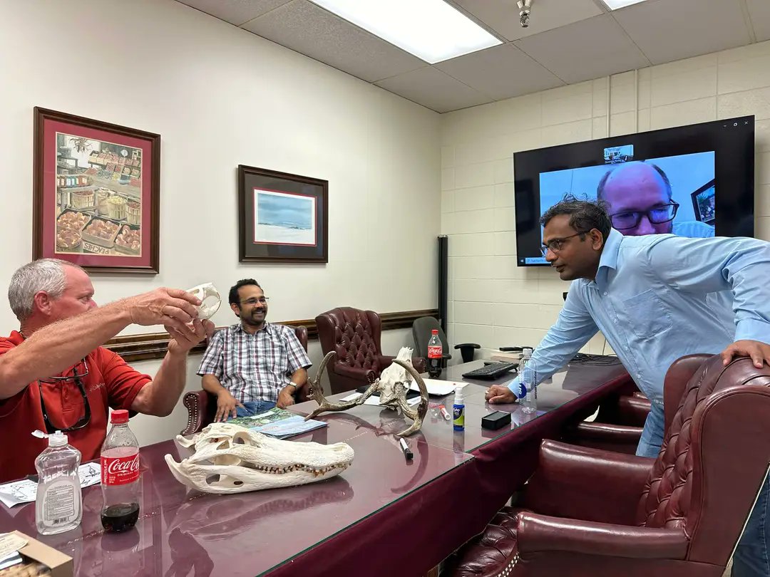 UGAvirology's tweet photo. Congratulation @suren_edu for successfully completing the Preliminary exam. Thank you @GACottonComm  and members of the advisory committe for supporting our research. Dr. Roberts bring some cool stuff, discussing evolution to lighten the intense discussion. https://t.co/3UsWiMa1kb