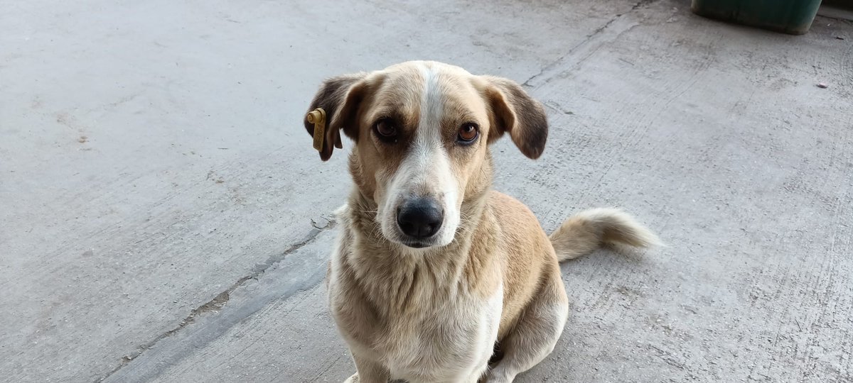 umuttastan_ tweet media