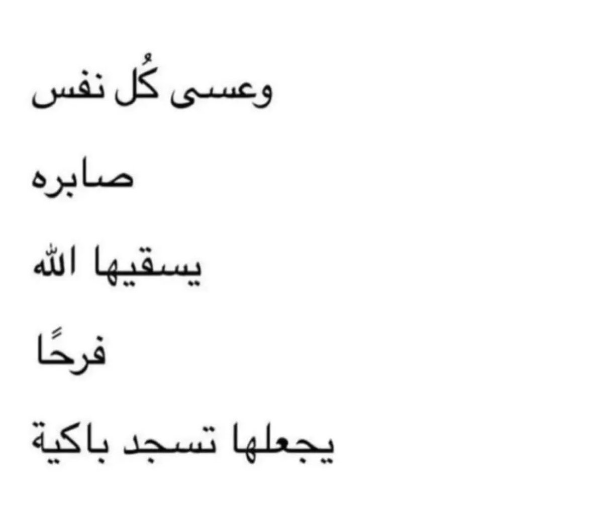 🕊Sabreen❤️💫 (@sabreen89298351) on Twitter photo 