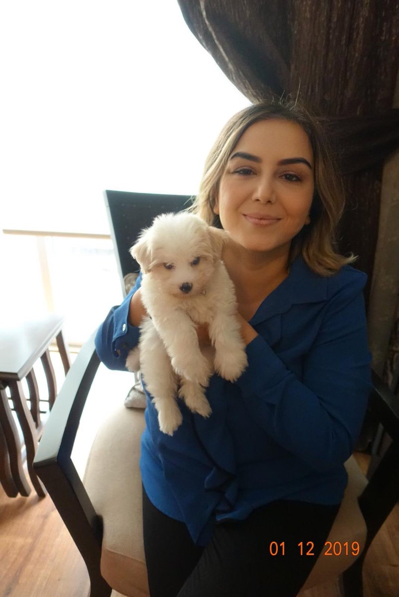 #AltindagdaKatliamVar

Hiç bir şey yapmadım dememek için lütfen bir köpek sahiplenin. Bir çocuğun kedi veya köpekle büyümesi ne büyük şans bilseniz….