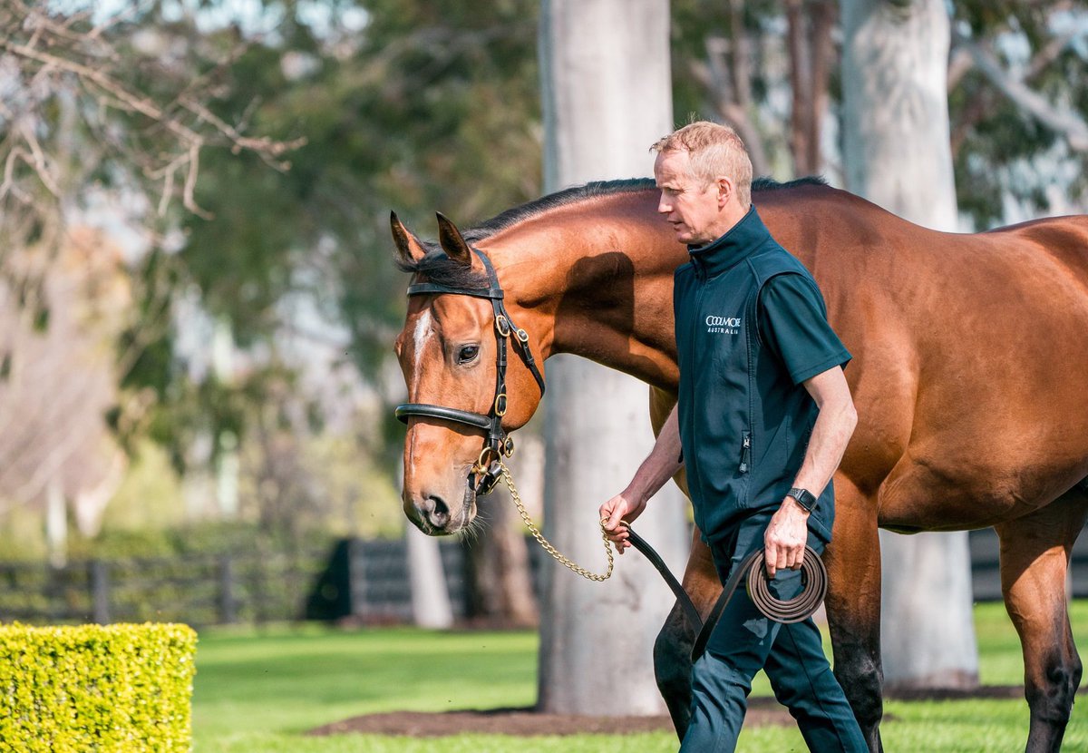 Son Of Saxon Warrior Makes All To Maiden Victory.
Rokuni (2g Saxon Warrior – Riyaza, by Dark Angel) made all to justify favouritism in Friday’s six furlong... bit.ly/3WXJVyF