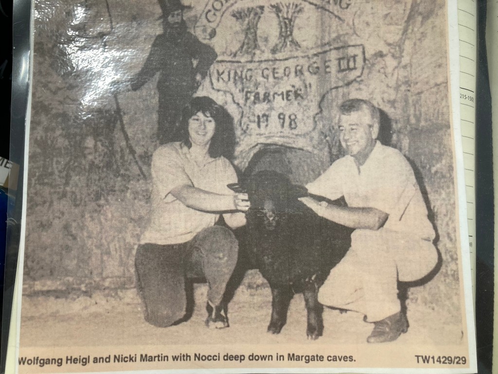 32 years since Nocci the sheep made headlines for his jaunts in the Caves. Rumour has it he loved a biscuit or crisp from a visitor! You won’t find a sheep in the Caves these days but you might find some pirate treasure this summer!