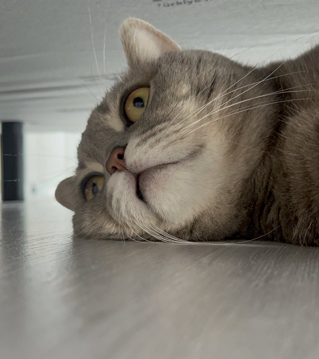 Bir derdim var, artık tutamam içimde🎶