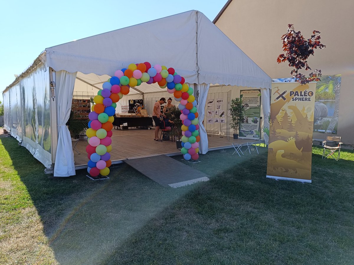 PALÉOSPHÈRE ⛏🦕🖍 tweet media