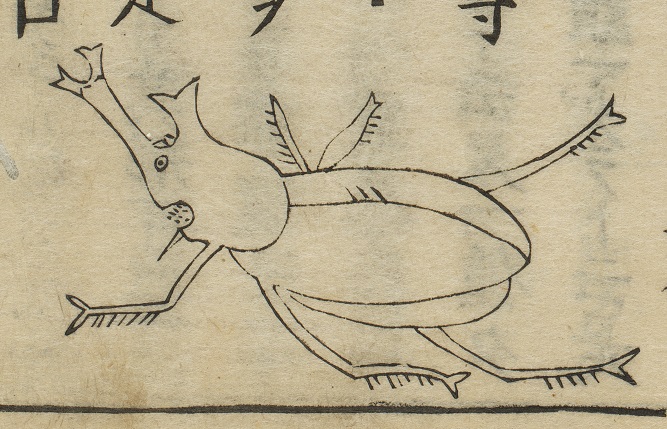 kyuhaku_koho's tweet image. 【日本最古のカブトムシ！？】
きゅーはくサマーツアー「#博物館で昆虫採集」でポスターの主役に抜擢されたのは、貝原益軒による『大和本草』のカブトムシです。脱力感あふれる癒し系☺
【会期：7/30（火）～9/1（日）】
kyuhaku.jp/exhibition/exh…
#九州国立博物館 #カブトムシ #貝原益軒 #大和本草