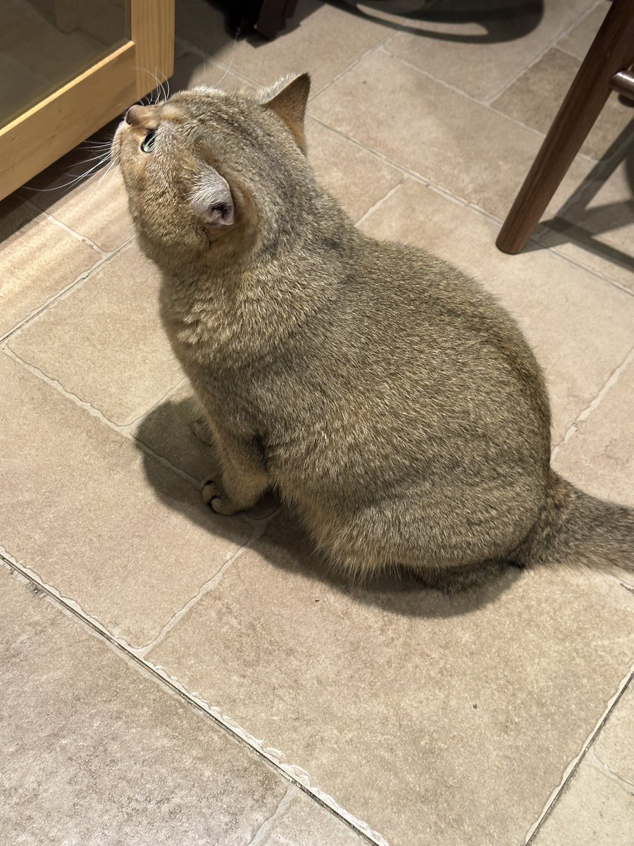 最后一组图，下次出cos😶‍🌫️

#丝袜 #裤袜 #黑丝 #腿 #CD