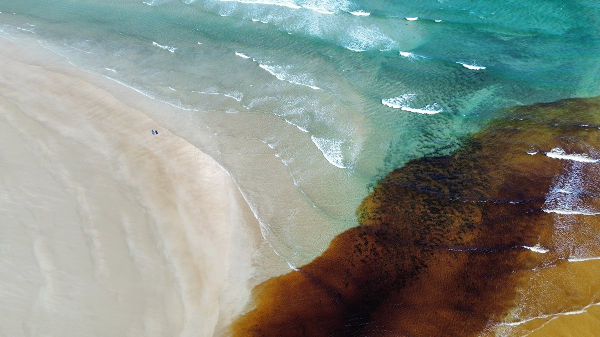Water flowing off degraded peatlands south of An Fál Carrach  flows into the aquamarine waters of the North Atlantic