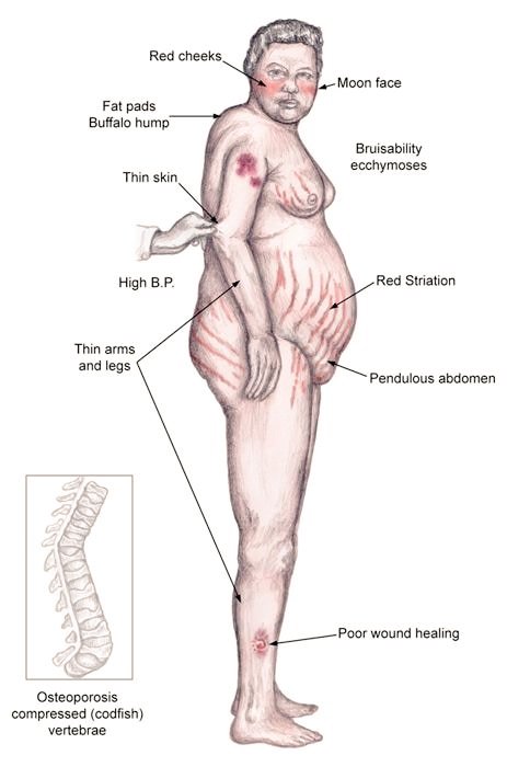 Modern Health tweet media