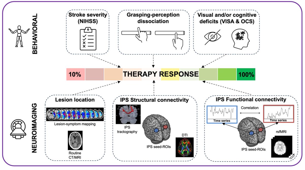 Dr Stephanie Rossit 🧠👀🖐 (@stephanierossit) on Twitter photo 1/3) Please RT!
🎉Its official: Our SIGHT trial has been generously funded by <a href="/NIHRresearch/">National Institute for Health and Care Research</a> EME.
The SIGHT trial will provide better understanding of spatial neglect post-stroke, its recovery & rehab. The trial will be largest trial w/ people with neglect post-stroke to date! 1/3) Please RT!
🎉Its official: Our SIGHT trial has been generously funded by <a href="/NIHRresearch/">National Institute for Health and Care Research</a> EME.
The SIGHT trial will provide better understanding of spatial neglect post-stroke, its recovery & rehab. The trial will be largest trial w/ people with neglect post-stroke to date!
