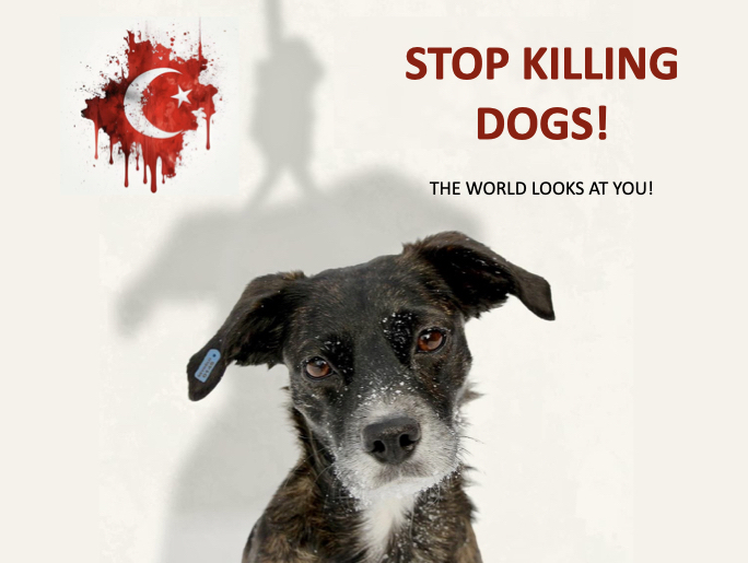 𝙏𝘼𝙍𝙊 𝙂𝙚𝙧𝙢𝙖𝙣𝙮 𝙚.𝙑. tweet media