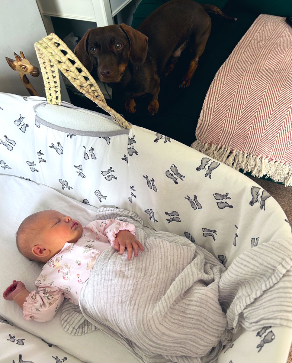 Charlotte Reynoldson tweet media