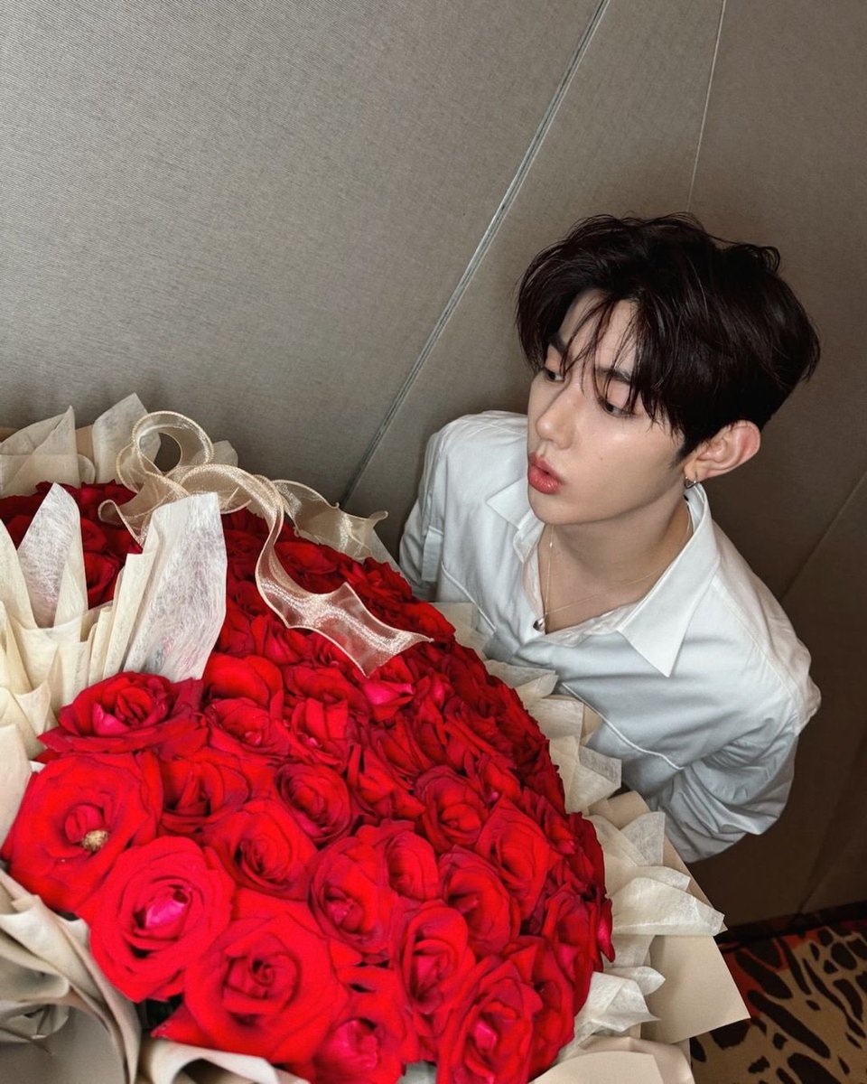 the prettiest rose of them all