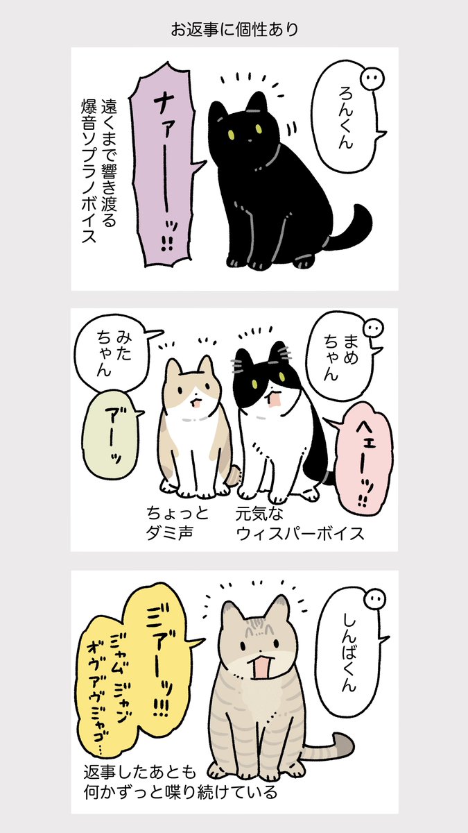 しんばくんの残したごはんを少しぬすみ食いしたら、仕返しに背中