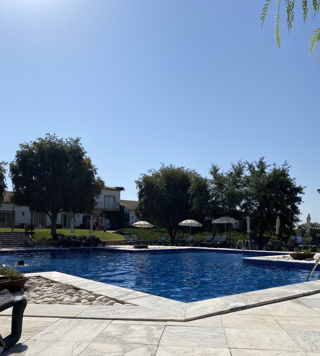 cessiem's tweet image. Que bem que se está no campo!