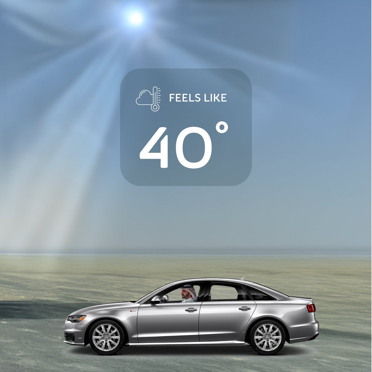 Camelicious tweet media