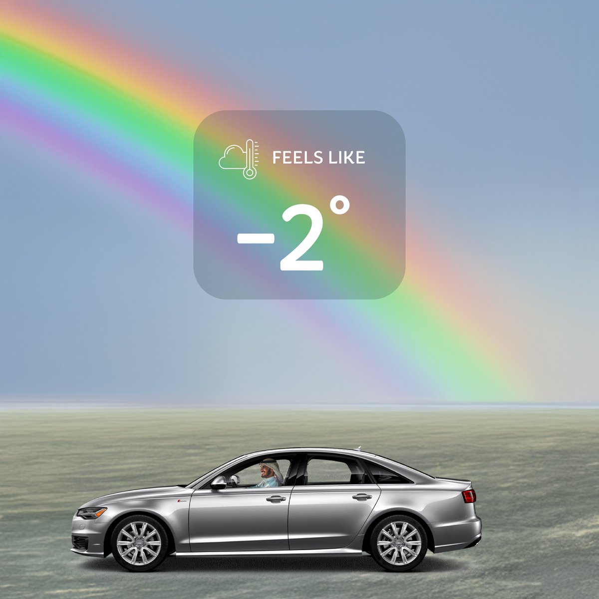 Camelicious tweet media