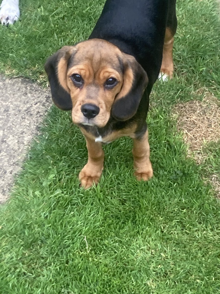 Frist game for Rosie the red #UTFR