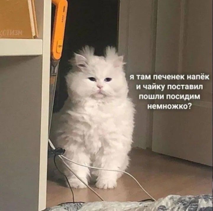 Давно тут не была, как вы?