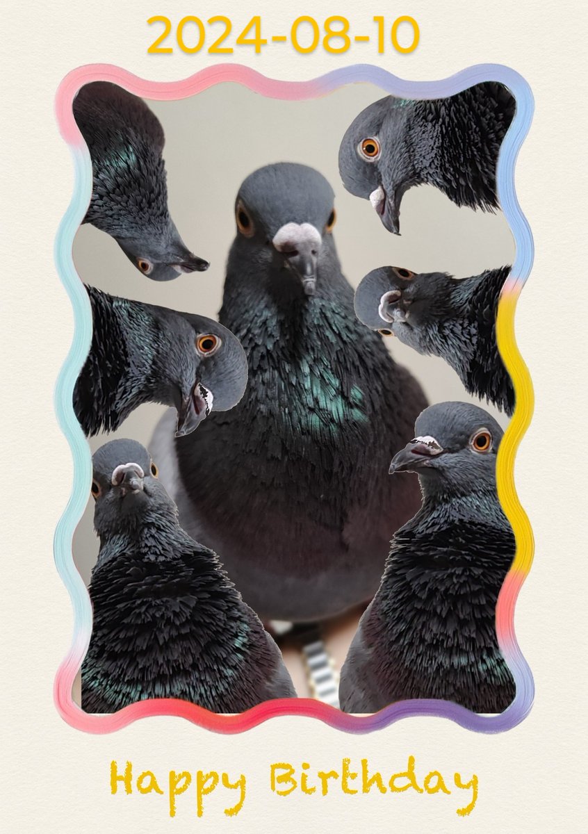 takereba's tweet image. Happy Happy!鳩の日です!!
たまちゃん、4歳になりました🥳🥳
麻の実 えごま追加盛りでお祝いです㊗️
オヤツがたくさん食べれて嬉しいね🤤