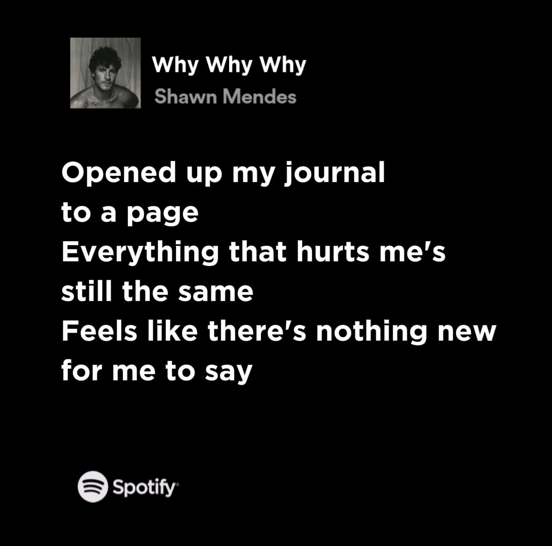 shawn mendes lyrics are too relatable