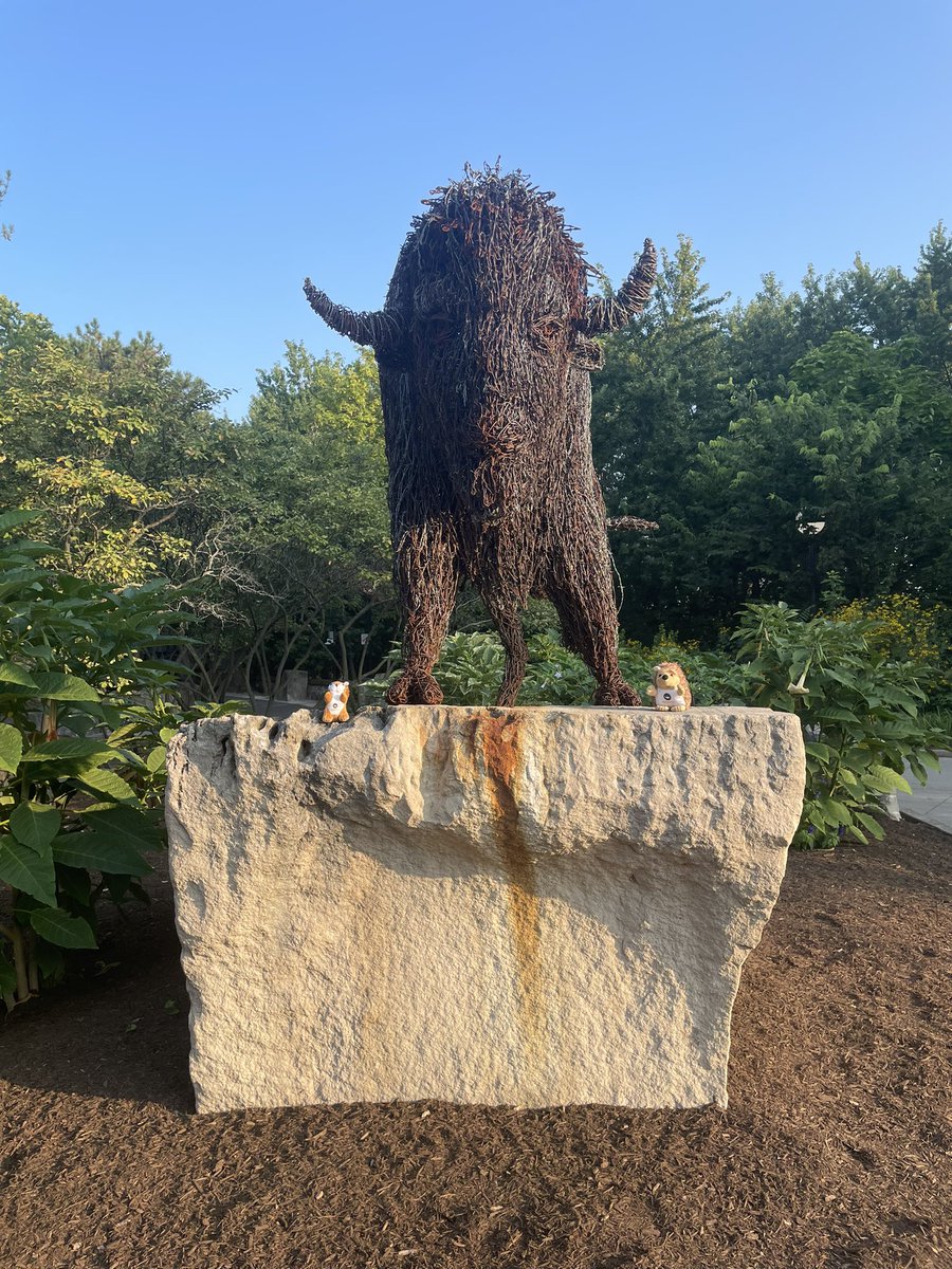 PaulNaish78's tweet image. Leaving Indianapolis now, but me and my little pals 🐿️🦔 enjoyed our stay and #MathFest was great!