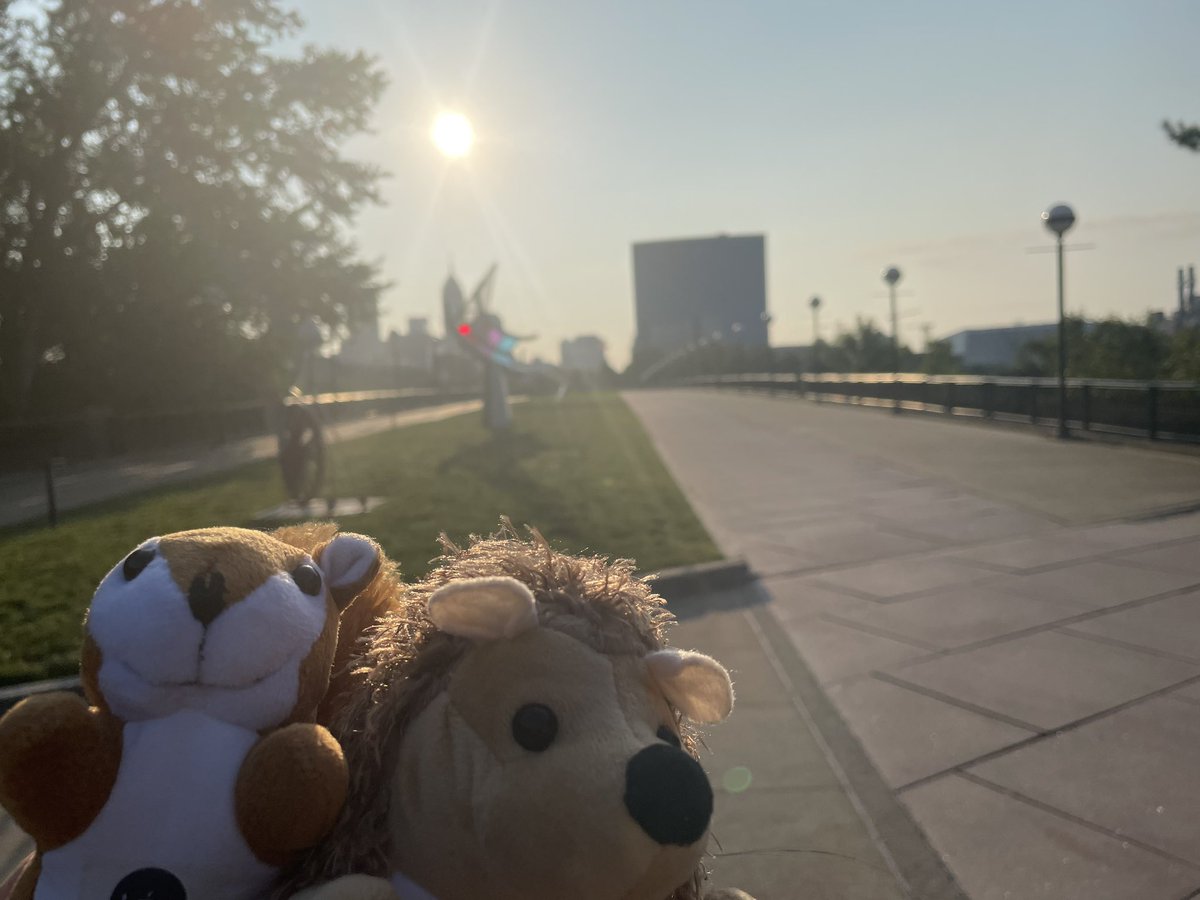 PaulNaish78's tweet image. Leaving Indianapolis now, but me and my little pals 🐿️🦔 enjoyed our stay and #MathFest was great!