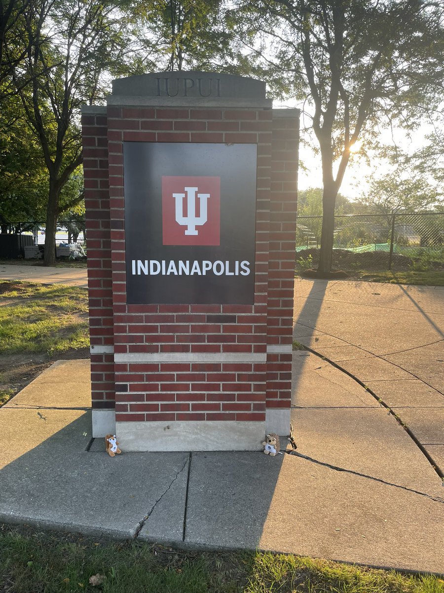 PaulNaish78's tweet image. Leaving Indianapolis now, but me and my little pals 🐿️🦔 enjoyed our stay and #MathFest was great!