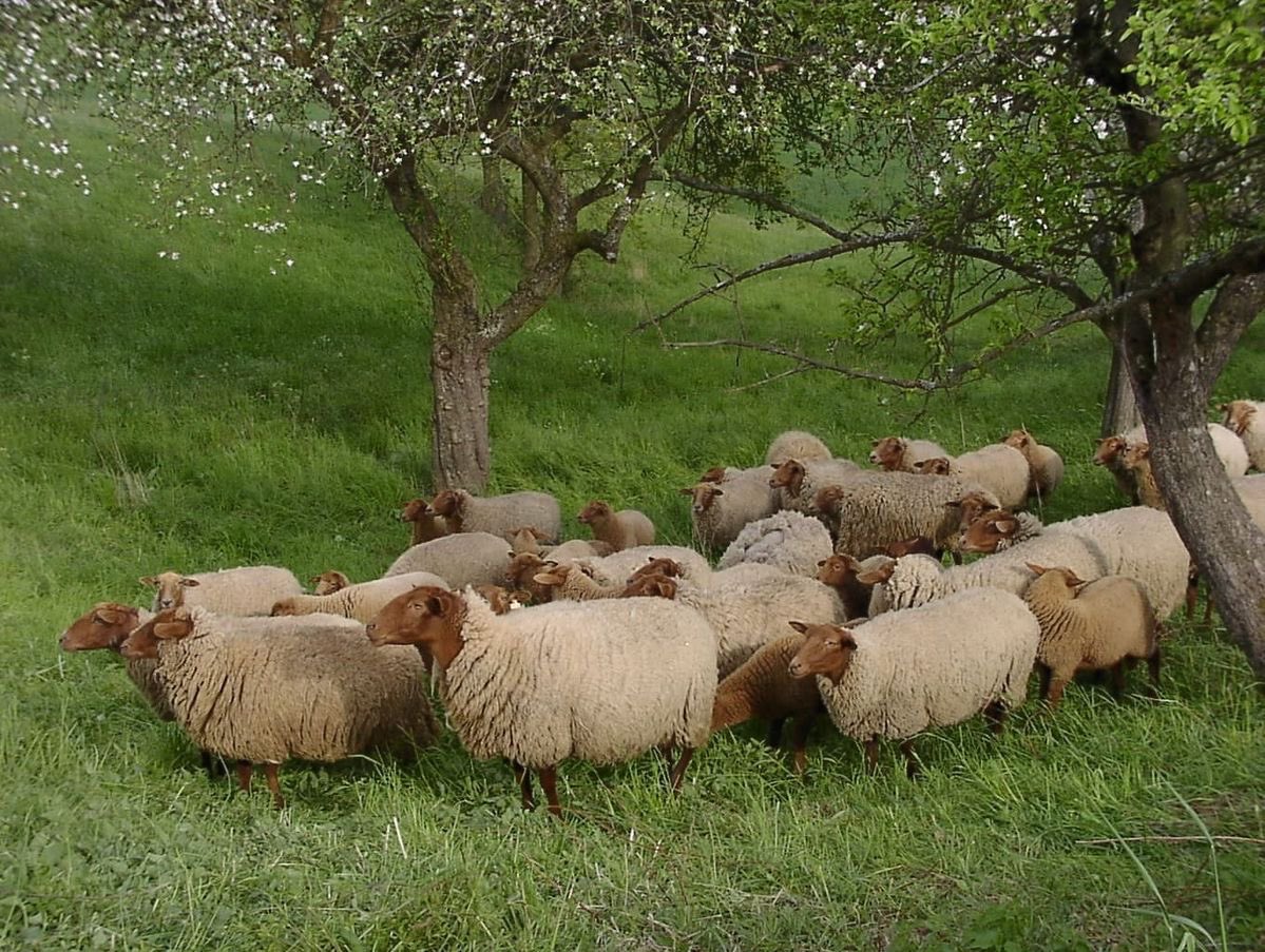 ᅠ ᅠ (@greendreaams) on Twitter photo 