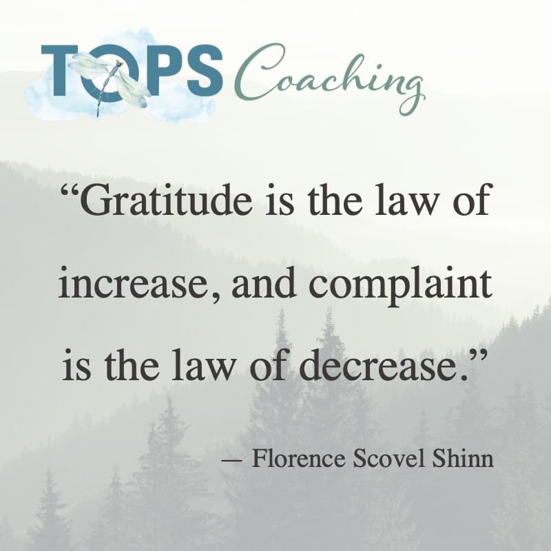 TOPSCoaching's tweet image. Gratitude 🌟
#SaturdayMorning