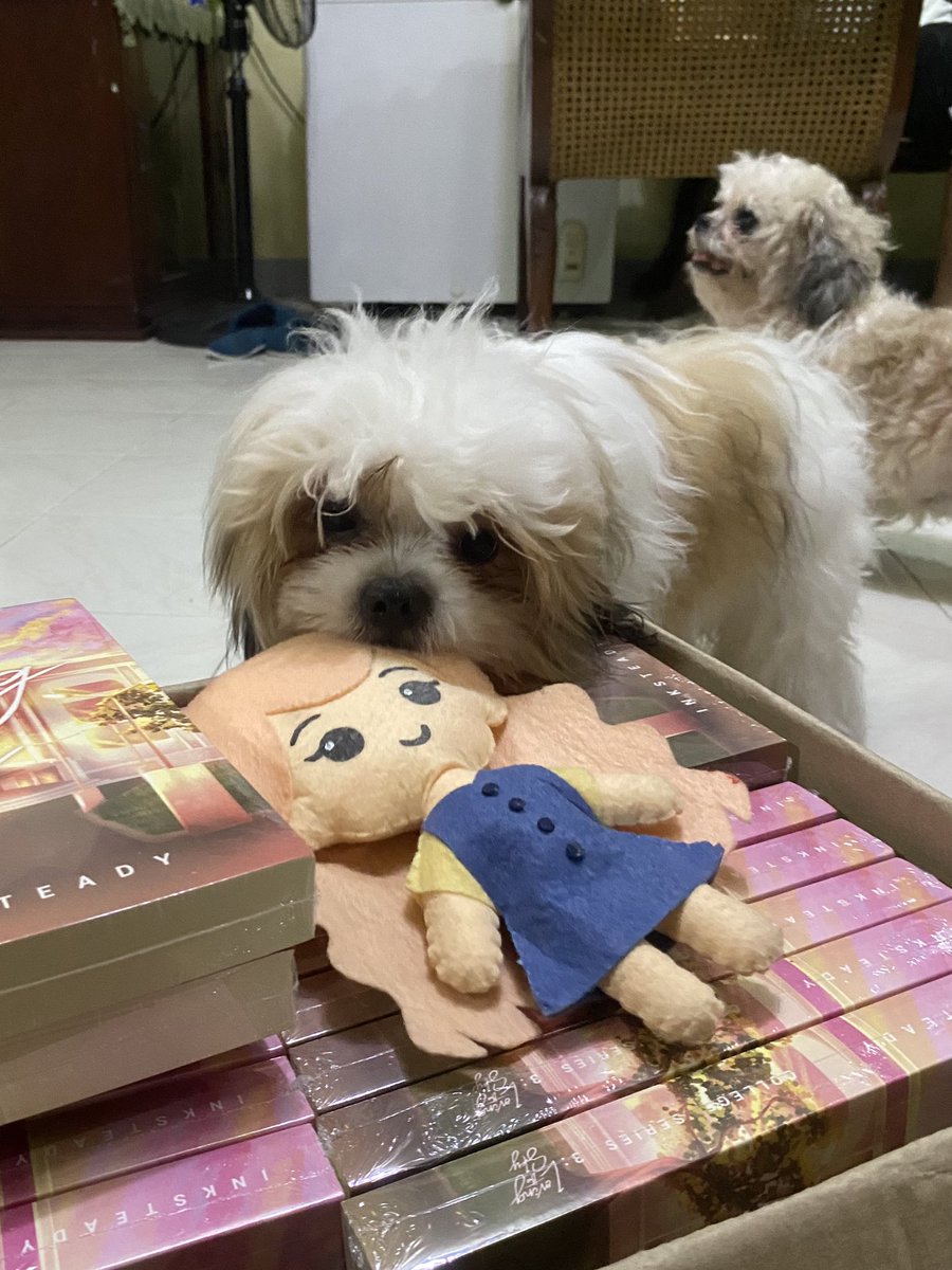 merchisko's tweet photo. Re: LTS Book Reprint Arrival &amp; Shipping ☁️

Reese and Rouge have arrived! Due to the production of freebies, there may be a delay in processing book orders with inclusions. For customers with book-only orders, we will start packing tomorrow for delivery starting by Monday. https://t.co/AvhrMji1bT