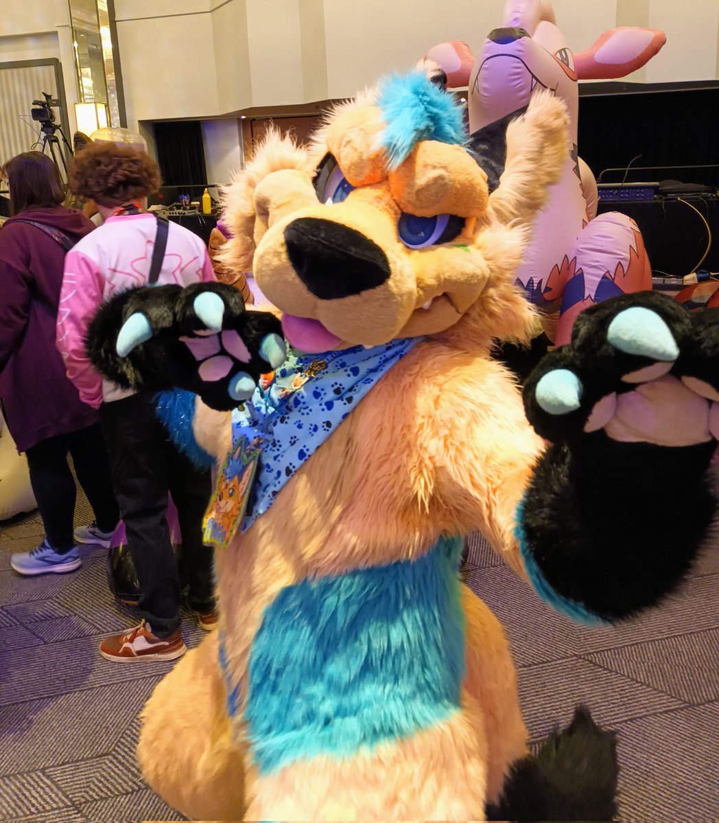 That is one paw-some fox! Just get a load of those paws!

🐾: <a href="/pongofox/">pongo fox</a> 
🧵: <a href="/MoreFurLess/">More Fur Less</a> 
📷: <a href="/round_otter/">gabriel at #scotiacon (gabrielotter.bsky.social)</a>