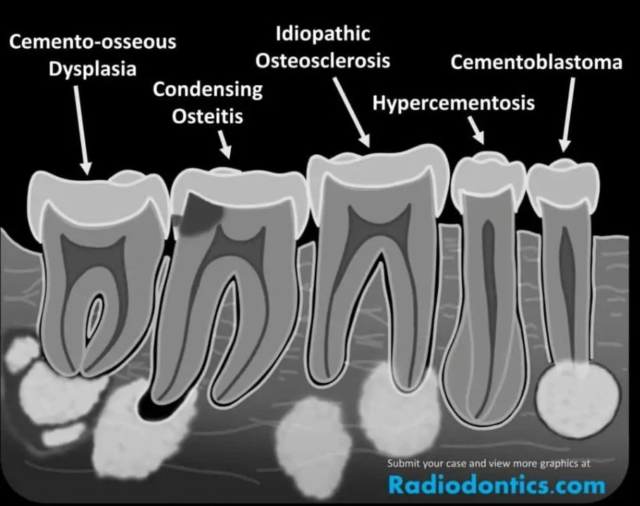 د. فواز الشمري tweet media