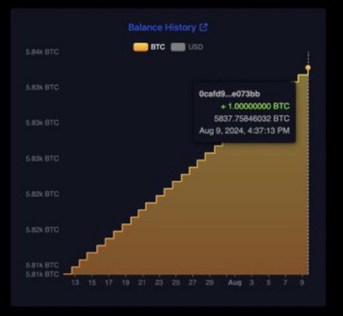 Radar 𝘸​ Archie🚨 tweet media