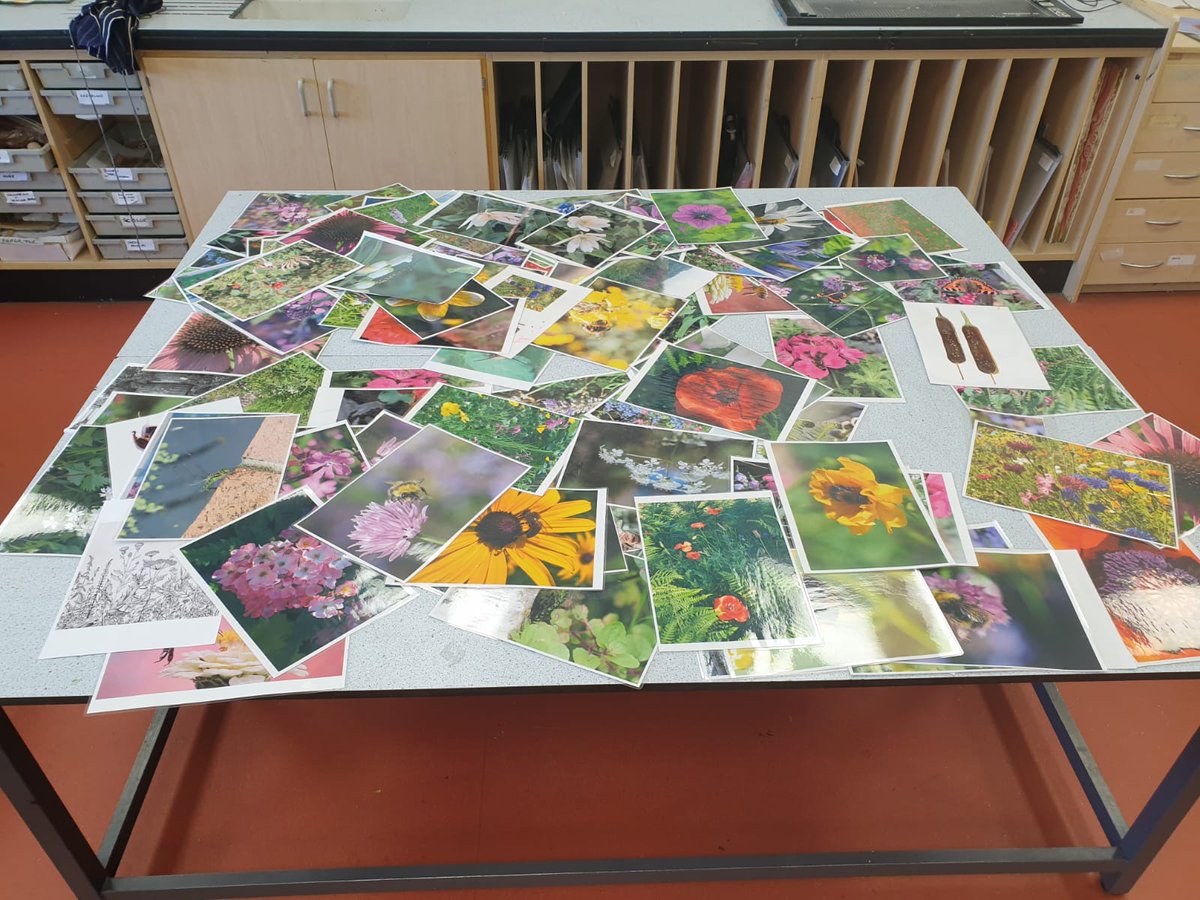 CHAOSLocalUK's tweet image. Throughout June &amp;amp; July @chaosgroupuk was able to partner with #ArtsLab! 🎨  

A unique project was underway where students from @PenairSchool &amp;amp; @RichardLanderUK learned to explore how illustration &amp;amp; imagination can help with anxiety, and how it can support optimism &amp;amp; hope!