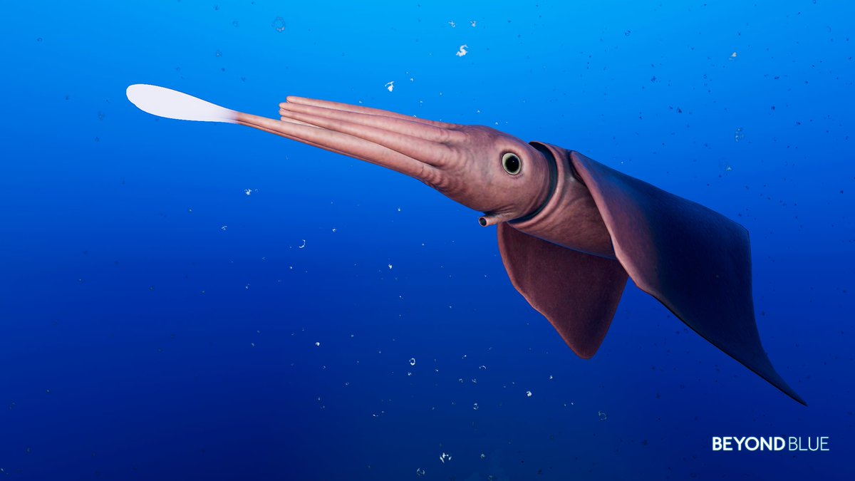 NatNMS's tweet photo. Into the blue 🌊
#BeyondBlue
#BeyondBlueGame
#BeyondBluePhotoMode https://t.co/SjMthRVIJW