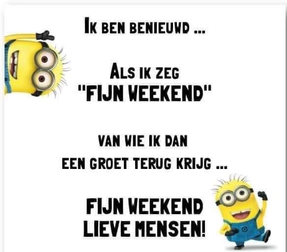 José 👩🏻‍🌾🐮🚜🎂🍰🍪🇳🇱🫖 tweet media