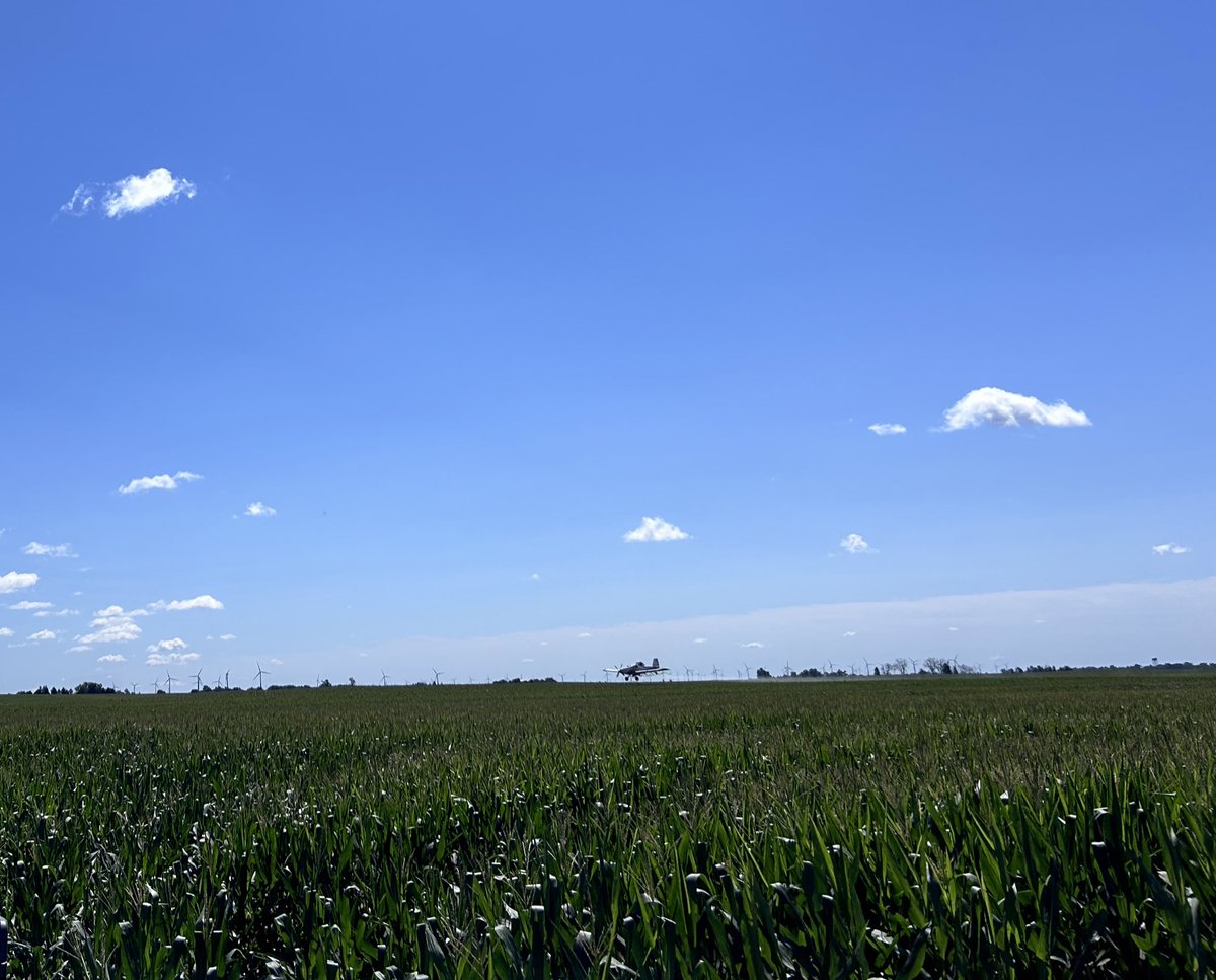 Spray coverage trial day! 🌽