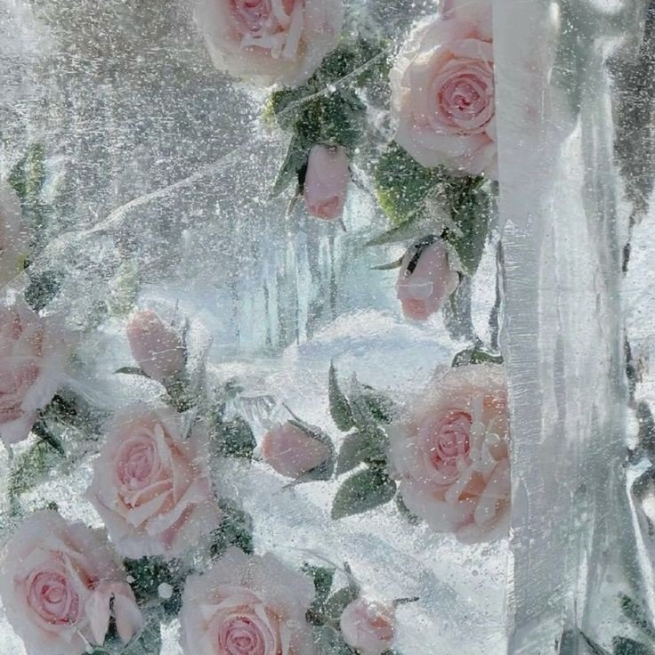 ❀ ᅠᅠ𝓙𝚄𝙻𝙸𝙴𝚃𝚃𝙴 ᅠᅠ 𝓦𝙰𝙻𝙻𝙰𝙲𝙴 tweet media