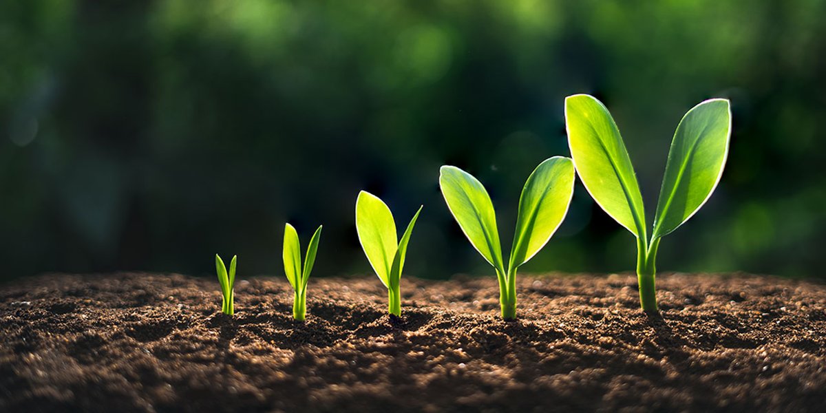 🌱Hope grows where healthcare is accessible. Let's plant seeds of change and nurture a world where everyone can get the care they need. #HealthForAll #InclusiveFuture