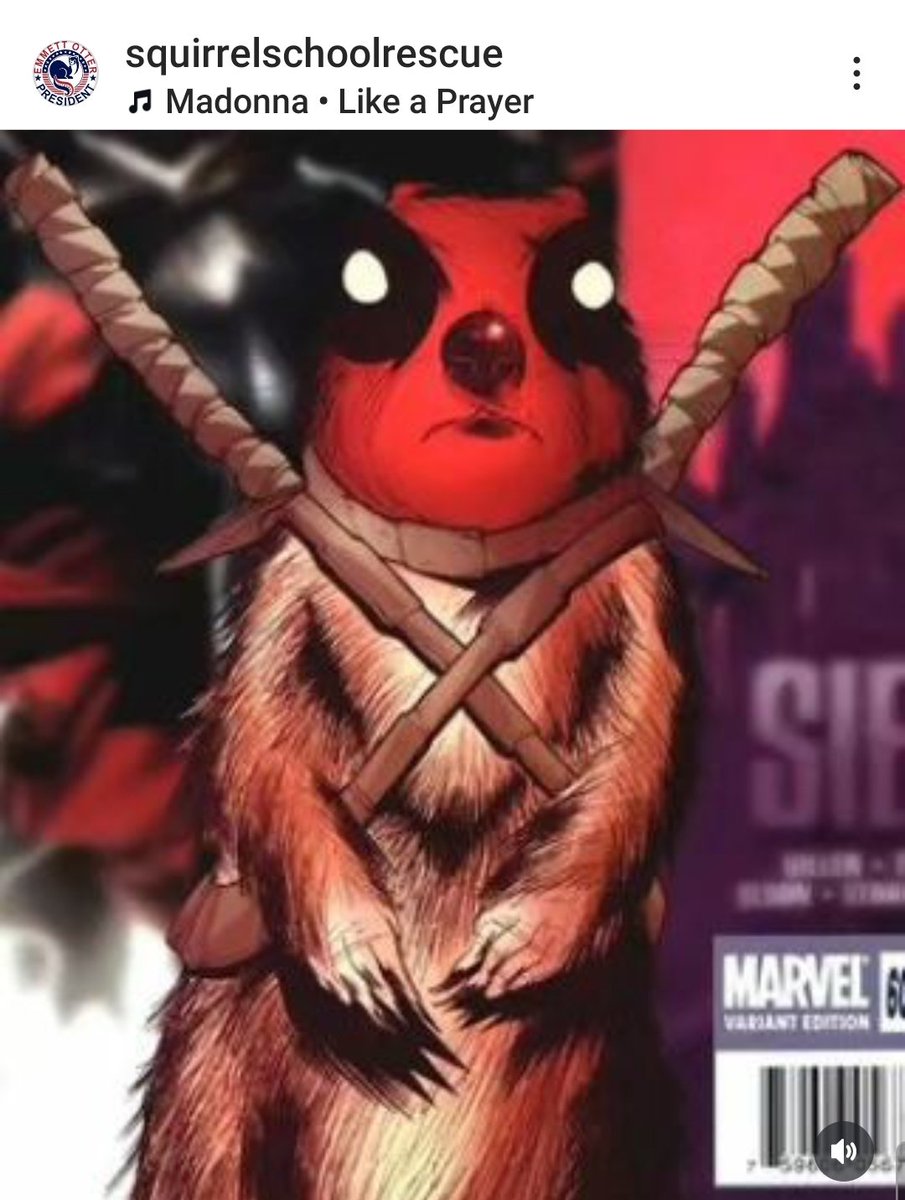 SquirrelWestend's tweet image. #SquirrelArmy #FightLikeASquirrel