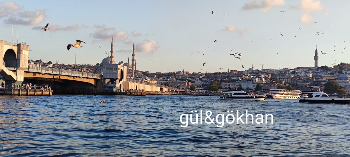 Bu kutsal sakin geçsin yorukduk ya la😁😁😁