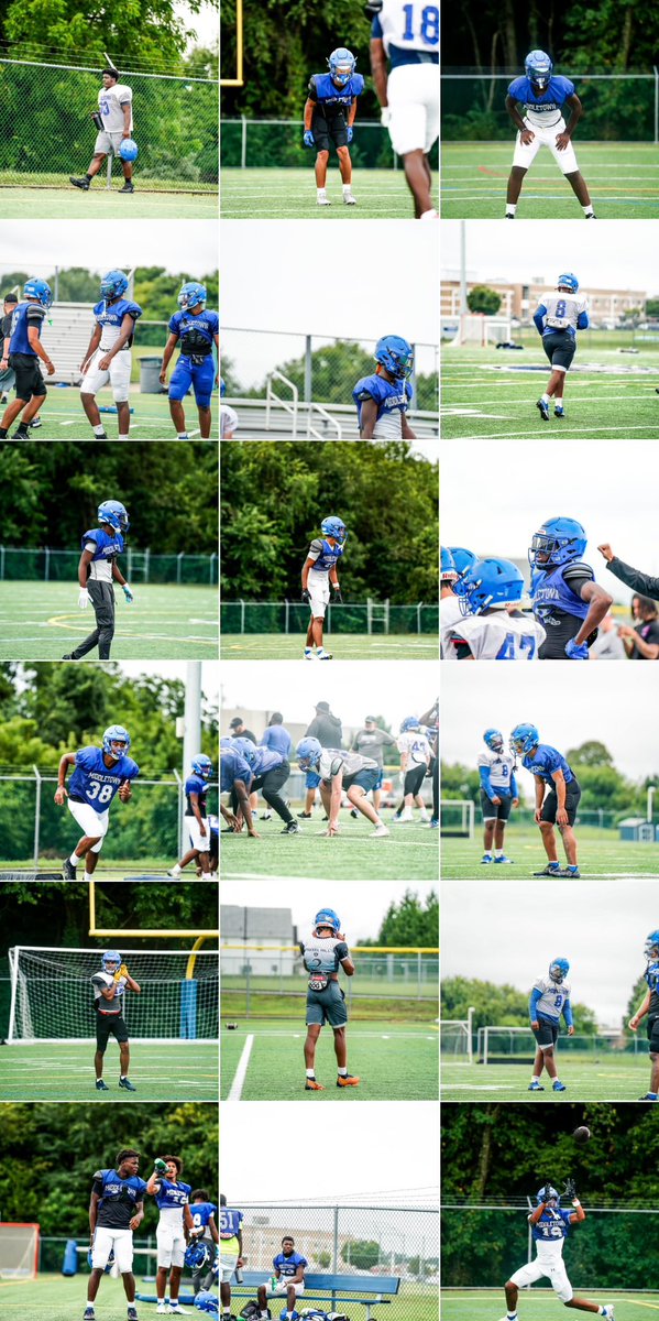 Week One Complete ✅
#BlueHeartDNA💙🧬