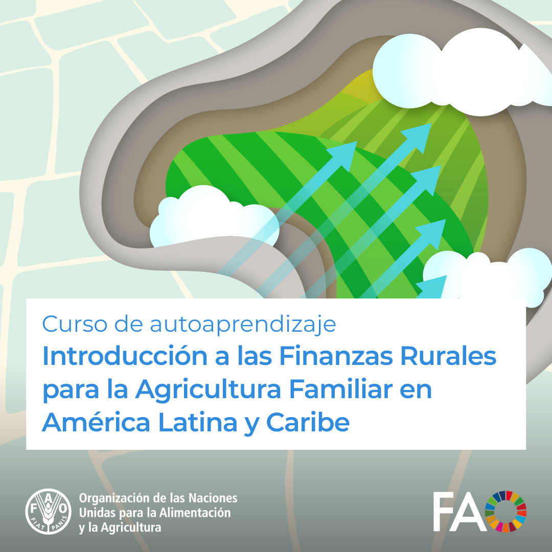 FAOCampus's tweet photo. 🎓¡Curso GRATUITO de @FAOCampus!

🏦 Introducción a las Finanzas Rurales para la Agricultura Familiar en América Latina y Caribe 🧑‍🌾

Promover el desarrollo de mecanismos inclusivos para el financiamiento de la agricultura familiar

¡Inscríbete! ➡️ https://t.co/E7XtUkhiAn

#FAO https://t.co/gIDhkweDVv